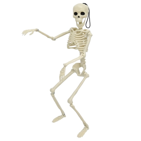 NCQ 5 Packs Halloween Skeletons, 16" Halloween Full Body Skeleton with Posable Joints for Haunted House Graveyard Props Decor
