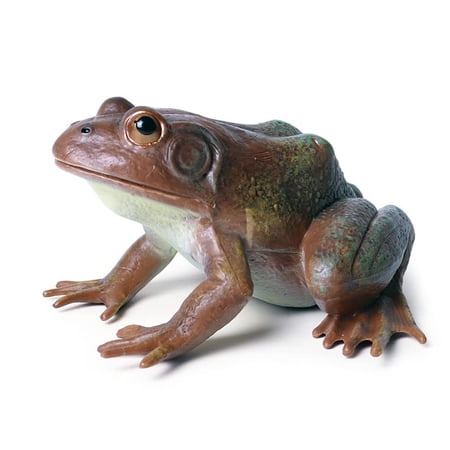 NCQ Realistic Tree Frog Figure Plastic Hand Painted Bullfrog Figurine Educational Rubber Animal Model Toys for Kids Children