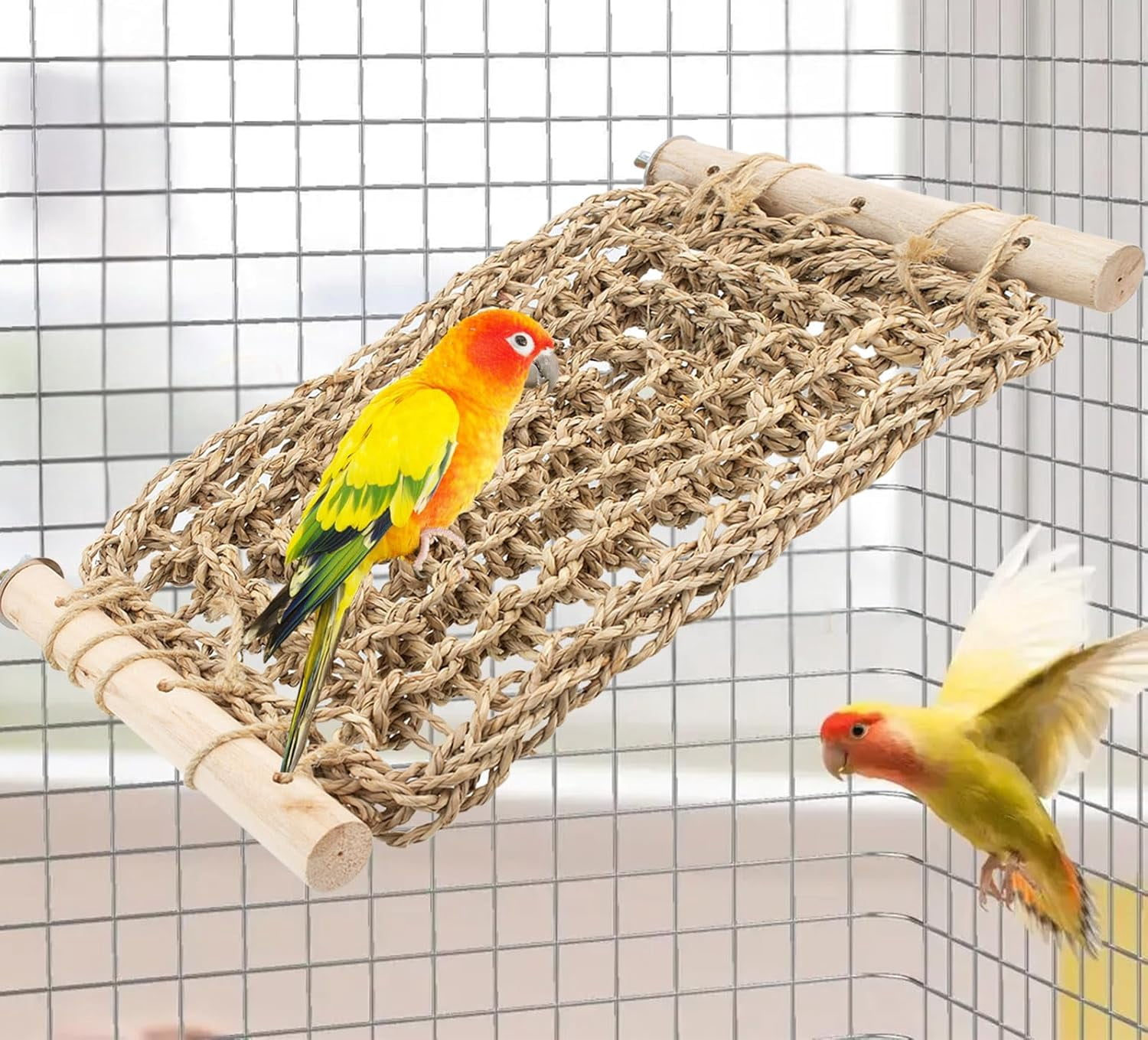 Parrot Net NCY Conure Ladder Perch for Cage, Bird Seagrass Ladder Bridge Exercise ...