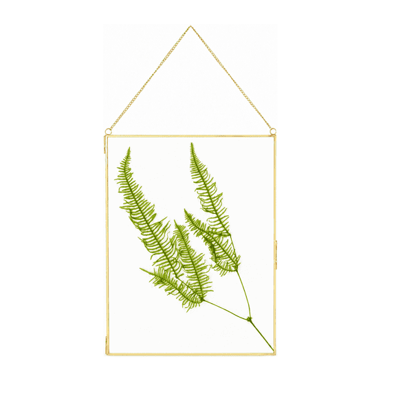 NCYP 11 x 14.1 Inch Pressed Flower Frame, Double Glass Floating Brass Frame with Hanging Chain for Dried Flowers, Pictures, Artwork and Plant Specimens, Large Gold Wall Decor (Glass Frame Only)