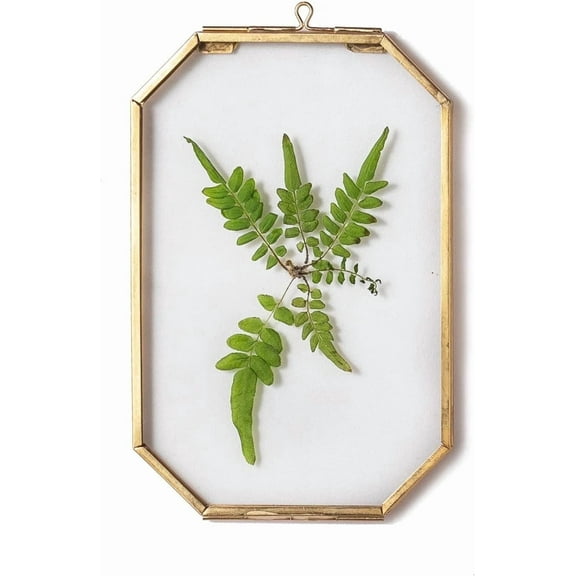 NCYP 4" x 6" Small Glass Floating Frame with Chain for Artwork Photo, Picture, Pressed Dried Flowers, Plant Specimen - Home Wall Hanging Decor, Octagon, Gold, Handmade (Glass Frame Only)