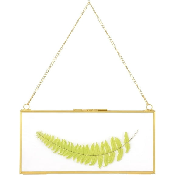 NCYP 4" x 9" Horizontal Brass Double Glass Frame for Pressed Dried Flower, Picture, Photo, Specimen, Card Holder, Modern Home Wall Hanging Decor Display (No Plants)