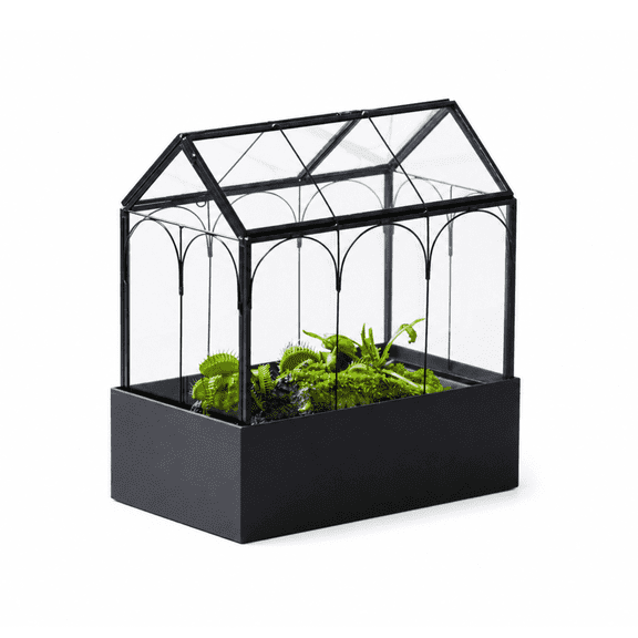 NCYP 8" Black Gothic Style Glass Terrarium with Planting Base for Moss, Venus Flytrap, Small Begonia with Hinged Roof Window (Terrarium Only)