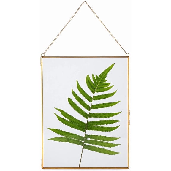 NCYP 8" x 10" Wall Hanging Brass Glass Artwork Certificate Photo Picture Display Frame, Ornament Plant Specimen Clip, Modern Vertical Decor Card Holder, Glass Frame Only