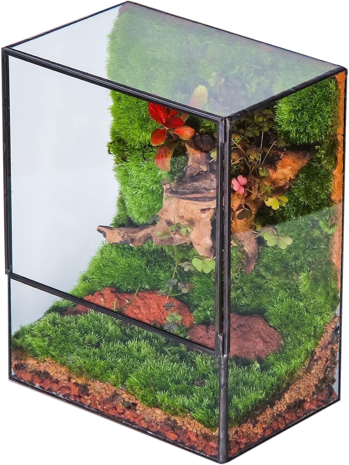 NCYP Small Rectangle Glass Terrarium with Door - Clear Tall Closed Geometric Planter for Moss, Fern, Indoor Tabletop Decor (Terrarium Only)