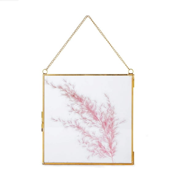 NCYP Double Glass Floating Frame 8" x 8" for Pressed Dried Flowers, Photo, Picture - Modern Indoor Wall Hanging Vertical Decor, Plant Specimen Clip, Gold, Handmade, Glass Frame Only