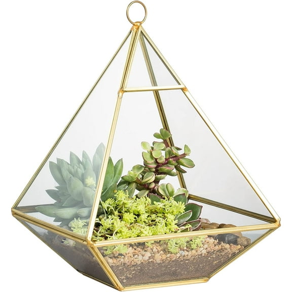 NCYP Geometric Glass Terrarium for Succulent, Air Plants - 5.9x5.9x7.87 Inches - Wall Hanging Glass Planter Pot, Home Garden Tabletop Decoration, Gold (Terrarium Only)
