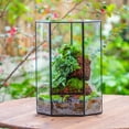thumbnail image 1 of NCYP Geometric Large Glass Terrarium with Door, for Plants, Moss Wall Landscapes 6.1" x 6.1" x 11.8" (Terrarium Only), 1 of 9