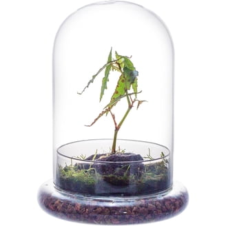 bonsai tree aquarium Artificial Fish Tank Aquarium Plastic Medium Bonsai Pink Tree Plant