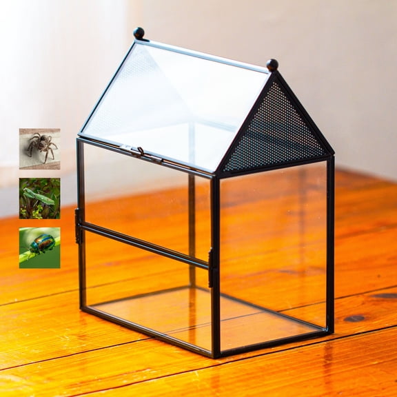 NCYP Glass Enclosure with Vent Holes for Jumping Spiders - 7.5" x 4.9" x 9", Small Closed Front Opening Terrarium, Home Decor Black (No Plants)