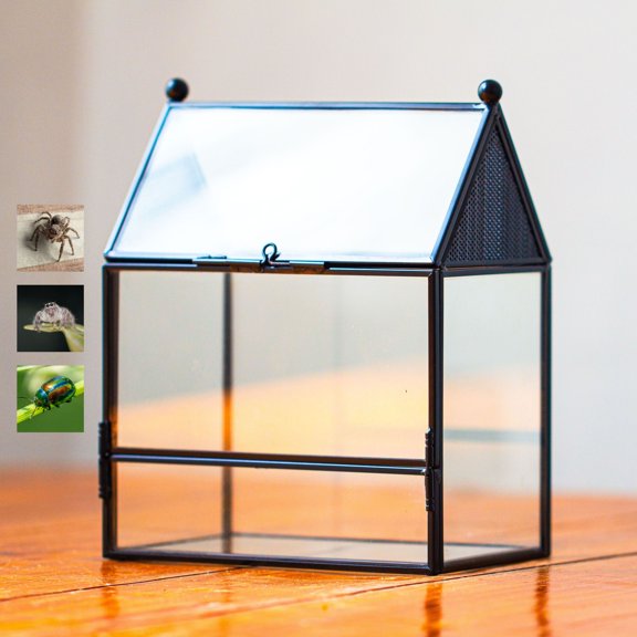 NCYP Glass Enclosure with Vent Holes for Insect, Spiders - 5.8'' x 3.8'' x 6.8'', Small Closed Front Opening Door Succulent Terarium - House Shape Habitat, Home Decor Black (No Plants)