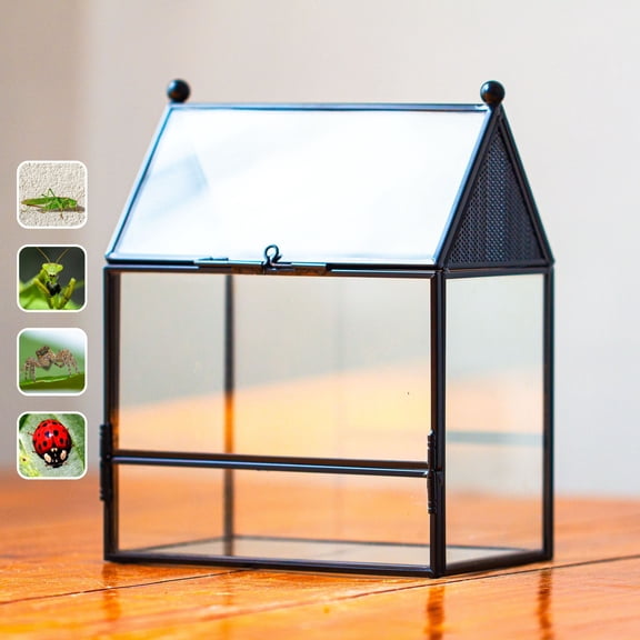 NCYP Glass Enclosure with Vent Holes for Insect, Spiders - 5.8'' x 3.8'' x 6.8'', Small Closed Front Opening Door Succulent Terarium - House Shape Habitat, Home Decor Black (No Plants)