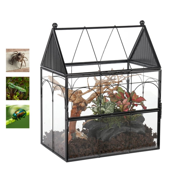NCYP Glass Enclosure with Vent Holes for Insect, Spiders, Snails - 7.5" x 4.9" x 9", Small Closed Front Opening Door Succulent Terarium - House Shape Habitat, Home Decor Black (No Plants)