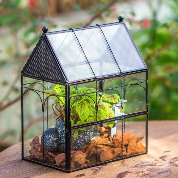 NCYP Glass Terrarium Enclosure with Vents, 7.5" x 4.9" x 9" Front Opening Insect Habitat with Top Mesh Ventilation, House Shape Glass Terrarium for Jumping Spiders and Mantis (Terrarium Only)