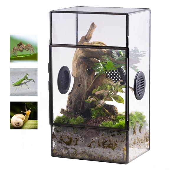NCYP Glass Geometric Terrarium with Door & Vent Holes for Small Insects, Snail, Jumping Spider Enclosure Habitat (Terrarium Only)