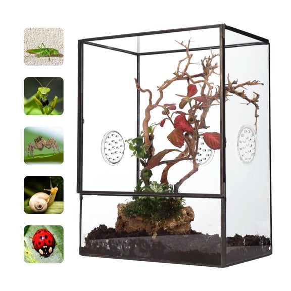 NCYP Glass Terrarium with Front Opening Door and 3 Vents for Insects, Snail, Spider, Glass Enclosure - 8"x4.5"x10" Clear Closed Plant Greenhouse Box (Terrarium Only)