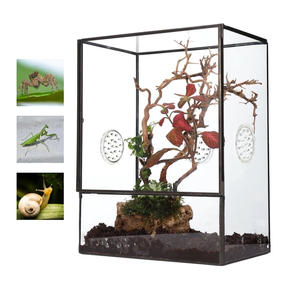 NCYP Glass Terrarium with Front Opening Door and 3 Vents for Insects, Snail, Spider, Glass Enclosure - 8"x4.5"x10" Clear Closed Plant Greenhouse Box (Terrarium Only)