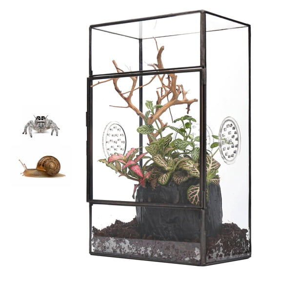 NCYP Glass Terrarium for Humidity-Loving Plants and Snails, 5.1" x 3.9" x 9" Front Opening Rectangular Glass Enclosure with Acrylic Vents, Black (Terrarium Only)