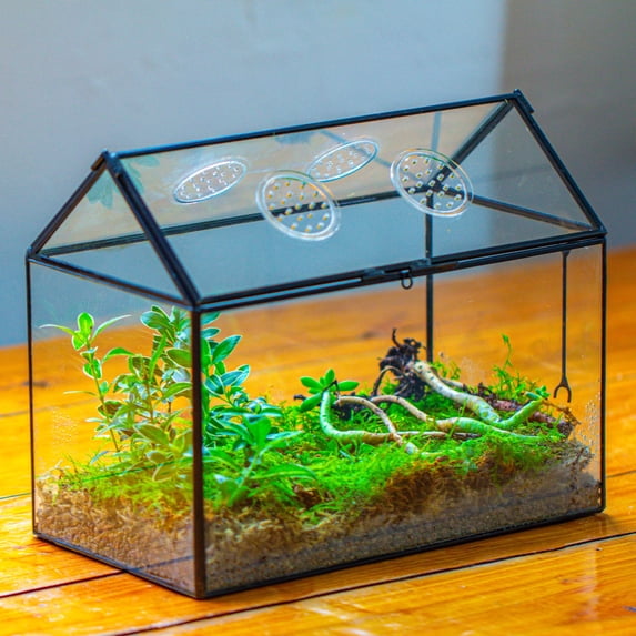 NCYP Glass Terrarium with Lid, Ventilation Holes for Indoor Plants, Succulents, Cactus, House-Shaped Clear Box, Terrarium Only