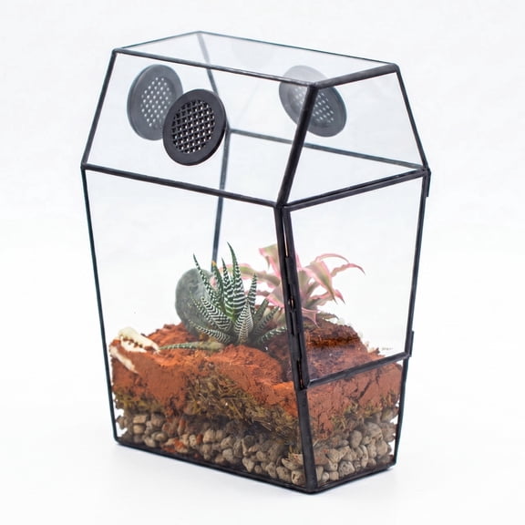NCYP Gothic Coffin Shape Glass Terrarium with Front Door, 5.1" x 6.1" x 9.3" Closed Terrarium with 3 Roof Vents for Jumping Spiders, Small Tropical Plants and Small Garden Snails (Terrarium Only)