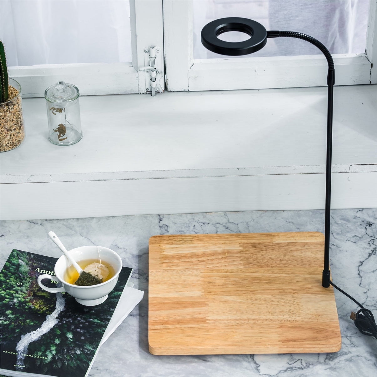NCYP Grow Lamp with Wooden Base for Plant Terrariums for Succulents, Moss, Ferns, Indoor Plant Display Decorative Board with Adjustable Gooseneck, 40CM 15.74 inches Staright Height