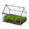 thumbnail image 1 of NCYP Handmade Mini Closed House Shape Terrarium with Lid and Latch, Terrarium Only, 1 of 13