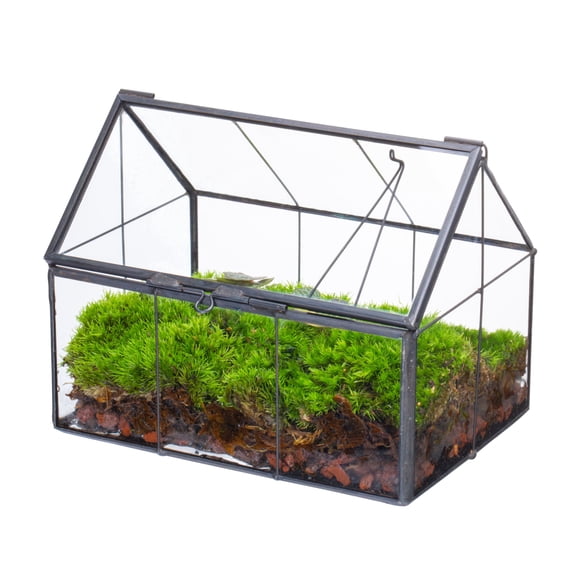 NCYP Handmade Mini Closed House Shape Terrarium with Lid and Latch, Terrarium Only