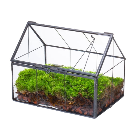 NCYP Handmade Mini Closed House Shape Terrarium with Lid and Latch, Terrarium Only