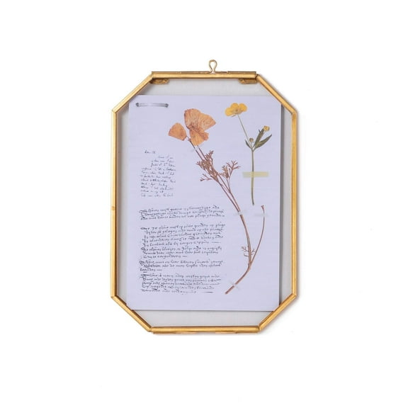 NCYP Hanging Octagon Brass Glass Frame for Pressed Dried Flowers Plant Specimen Herbarium, DIY Vintage Gallery Wall Mounted Decor Floating Frame 5X7 inches Style Gold, Glass Frame Only