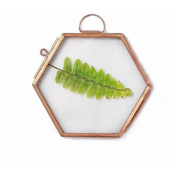 NCYP Hanging Small Rose Gold Hexagon Herbarium, Side Length 1.9 inches Handmade Copper Floating Frame for Pressed Dried Flowers Plants, Double Glass, Wall Decor, Glass Frame Only