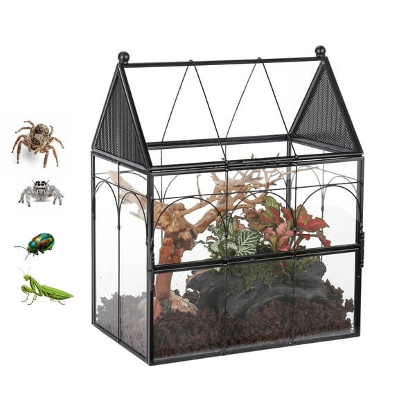 NCYP House Shape Glass Spider Enclosure with Mesh Vents, 7.5" x 4.9" x 9" Front Opening Insect Terrarium for Spiders, Large Jumping Spiders, Mantis and Beetles (Terrarium Only)