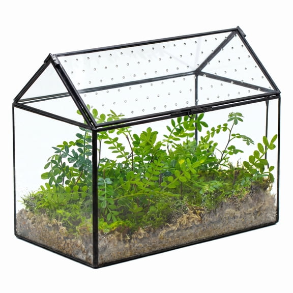 NCYP House Shape Glass Terrarium with Acrylic Vent Panel, 10.2" x 5.9" x 8.2" Closed Plant Terrarium for Moss, Ferns, Small Tropical Plants and Small Garden Snails (Terrarium Only)