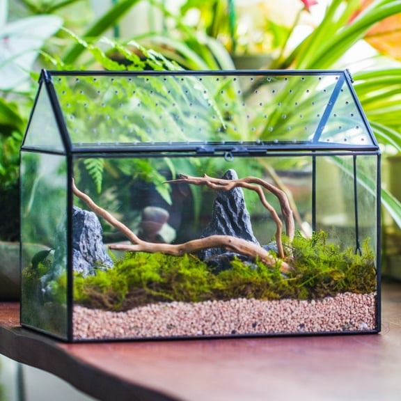 NCYP House Shape Glass Terrarium with Acrylic Lid - 10.2x5.9x8.2 Inches Large Geometric Box for Snails, Ferns, Succulents, Air Plants, Indoor Tabletop Decor, Handmade (Terrarium Only)