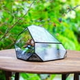 thumbnail image 1 of NCYP Irregular Geometric Glass Terrarium with Lid, for Moss Landscapes, Plants, Home Gardening, Terrarium Only, 1 of 10