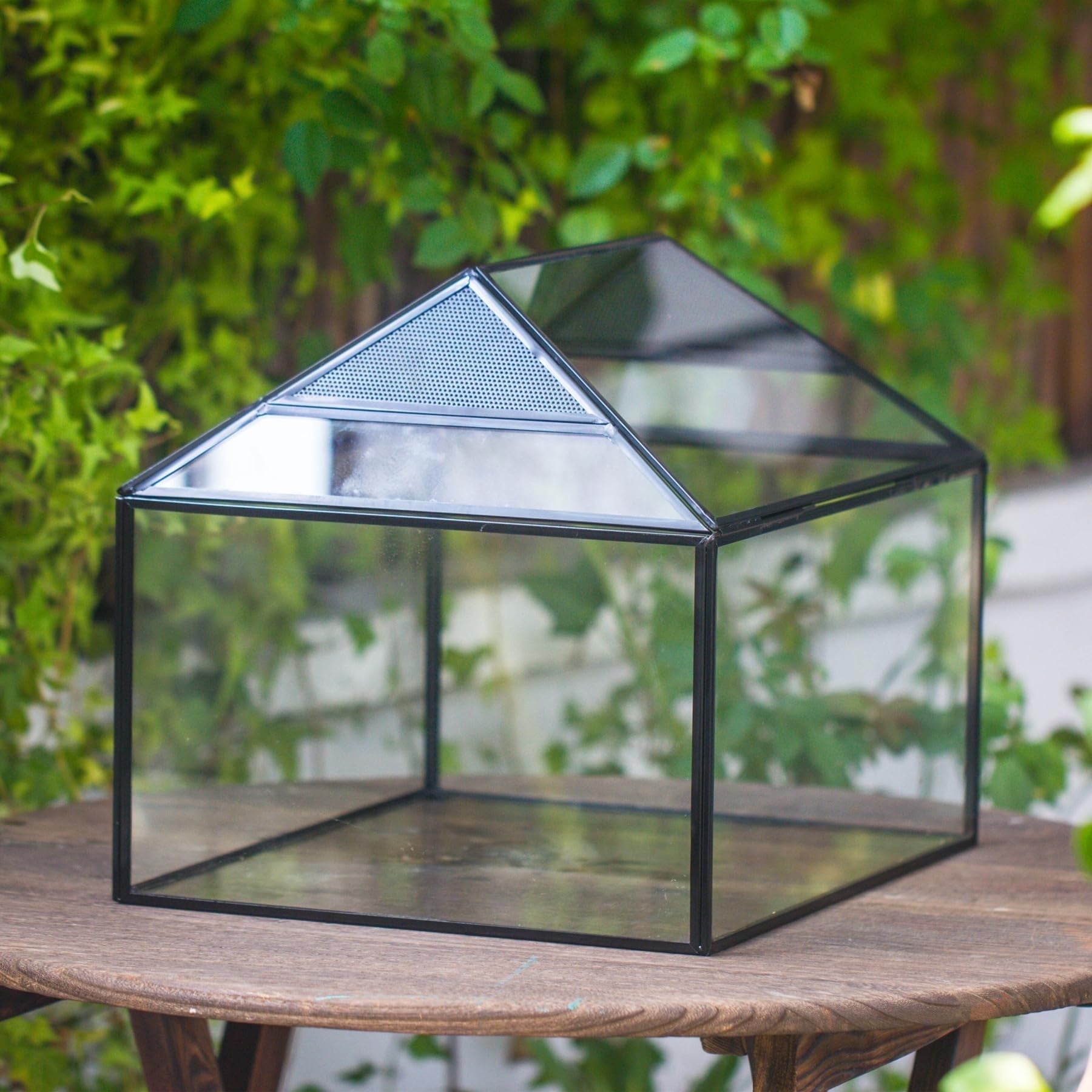 NCYP Large Geometric Terrarium Enclosure Box with Swing Lid for Insects ...