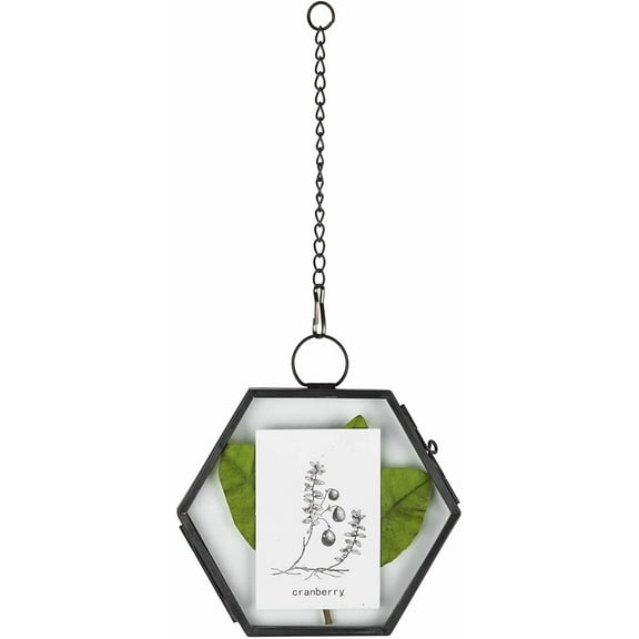 NCYP Mini Hanging Black Hexagon Glass Frame for Dried Flowers, Photo Picture, Ornament Plant Specimen Clip, Modern Wall Vertical Decor - Side length 1.9 Inches (Glass Frame Only)