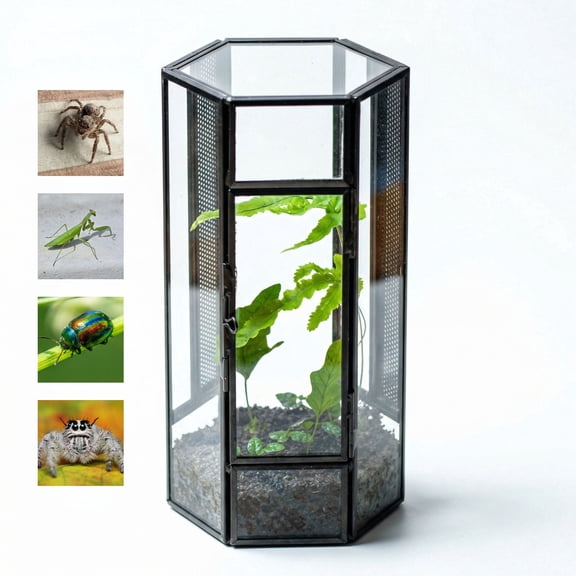 NCYP Mini Hexagon Shaped Enclosure Terrarium with Mesh, 4.1x3.6x7.8 inches Tabletop Jumping Spider, Small Insect Habitat, Vertical Placed (Terrarium Only)