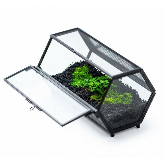 NCYP Mini Hexagon Shaped Enclosure Terrarium with Mesh, 4.1x6.8x3.6 inches Tabletop Jumping Spider, Small Insect Habitat, Horizontal Placed (Terrarium Only)