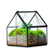 NCYP Mini House-Shaped Glass Terrarium with Lid, 4.25" Small Lidded Plant Terrarium for Moss, Tiny Plants, Low-Growing Sundew Plants and Tabletop D cor Terrarium Only