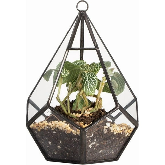 NCYP Mini Wall Hanging Glass Terrarium, 4.5 x 4.5 x 5.3 inches Diamond Shape Geometric Terrarium for Succulent Plant, Desktop Decor, Mini Centerpiece, Modern (Plants Not Included)