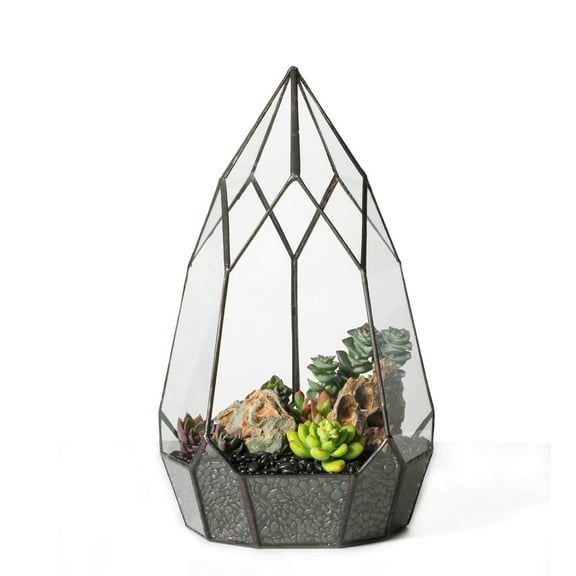 NCYP Modern Tabletop Black Glass Open Geometric Terrarium