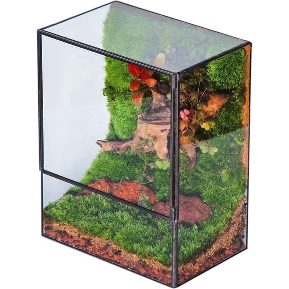 NCYP Rectangle Glass Terrarium with Front Door, 7.8" x 5.1" x 9.8" Closed Geometric Plant Terrarium for Moss Wall, Ferns and Small Tropical Plants (Terrarium Only)