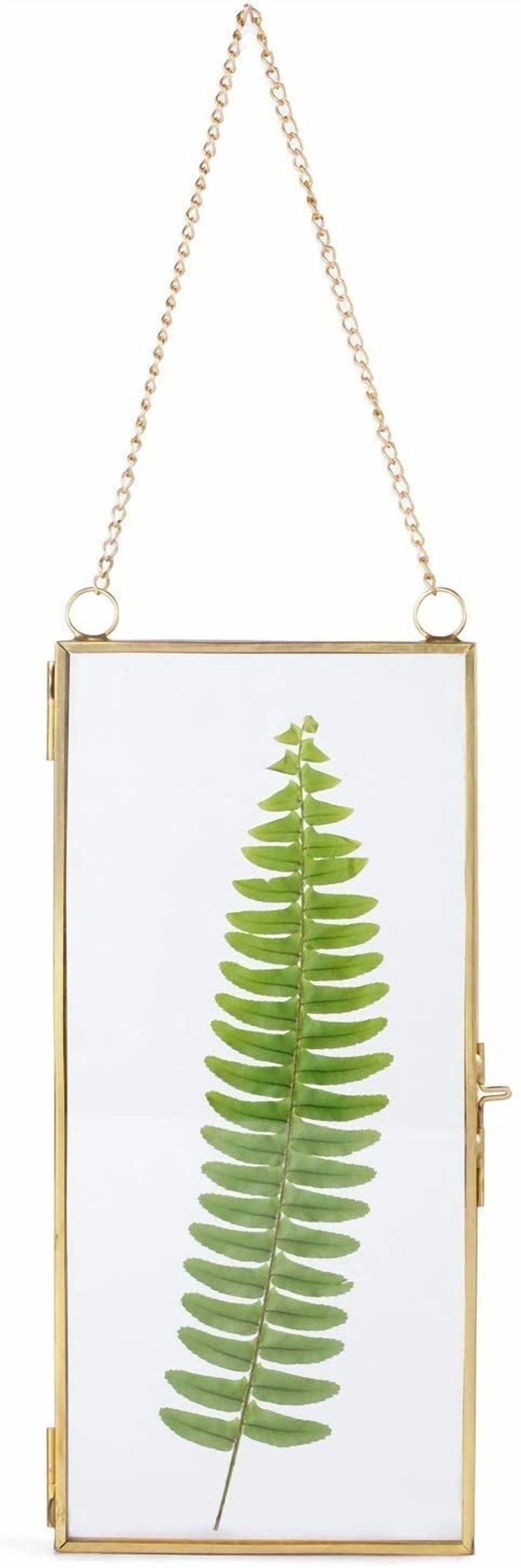 NCYP Small 4.1" x 9" Clear Glass Display Frame for Picture, Certificate ...