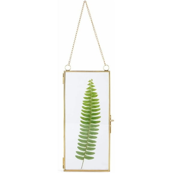 NCYP Small 4.1" x 9" Clear Glass Display Frame for Picture, Certificate, Photo, Card, Pressed Dried Flower - Wall Hanging Plant Specimen Clip - Modern Home Vertical Decor, Floating Gold (Frame Only)