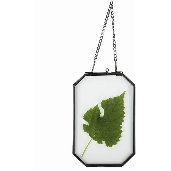 NCYP Small 4" x 6" Double Glass Floating Frame with Chain for Display Dried Flowers, Plant Specimen, Photo, Picture - Home Office Wall Hanging Decor, Black, Octagon (Glass Frame Only)