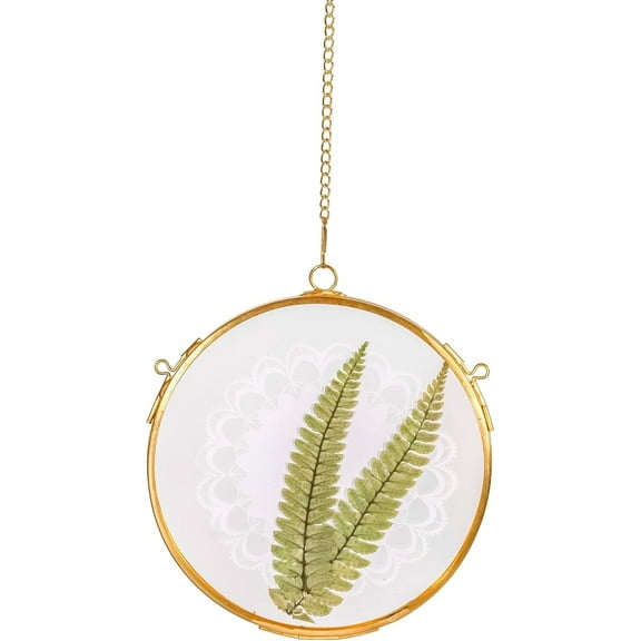NCYP Small 5 Inches Round Double Glass Floating Frame for Pressed Dried Flowers, Pictures, Photos, Brass Herbarium, Indoor Wall Hanging Decor, Gold, Handmade (Glass Frame Only)