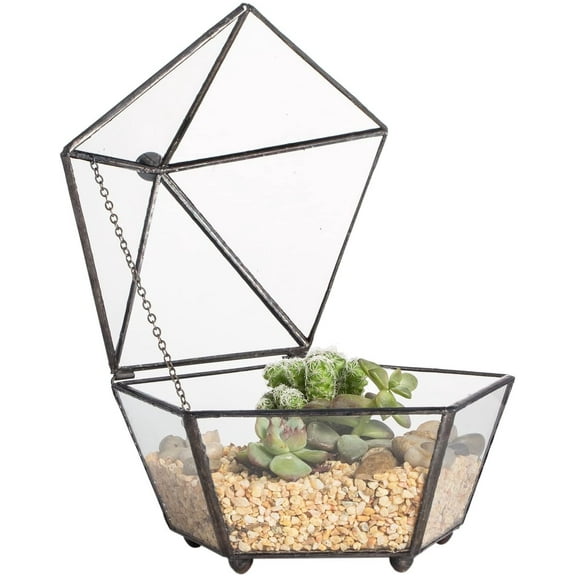 NCYP Small Glass Geometric Terrarium, Closed Jewel-Boxed Shape Container, Plant Succulent Planter, Indoor Outdoor Garden Decor Flower Pot Handmade (Terrarium Only)