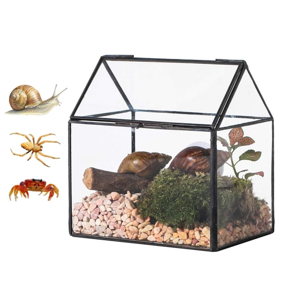 NCYP Small Glass Terrarium with Lid and Mesh Vents, for Garden Plants, Succulents, Snails