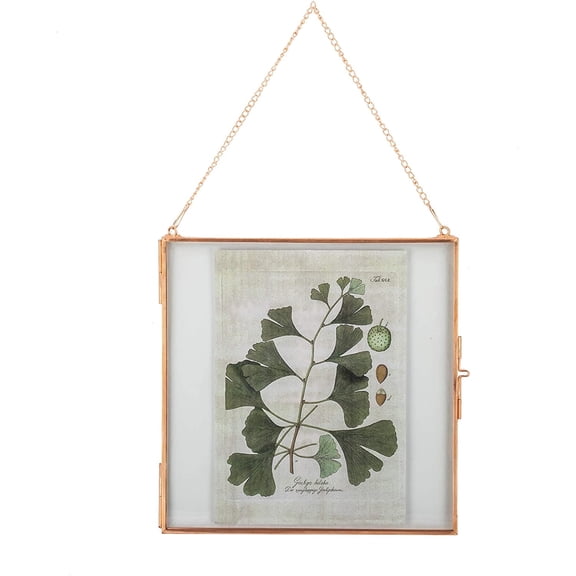 NCYP Small Hanging Glass Floating Frame for Pressed Dried Flower, Certificate, Photo, Picture, Plant Specimen - 8 x 8 Inch, Rose Gold, Home Vertical Decor (Glass Frame Only)