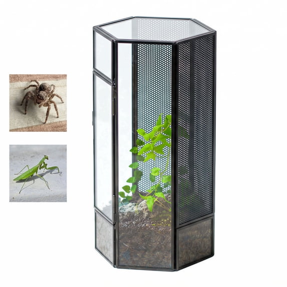 NCYP Small Metal Hexagon Shaped Enclosure Terrarium with Mesh, 4.9x4.3x9.4in, Home Indoor Tabletop Mini Insect Habitat, Terrarium Only